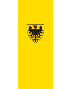 Flag: Sinsheim |  portrait flag | 3.5m² | 38sqft | 300x120cm | 10x4ft 
