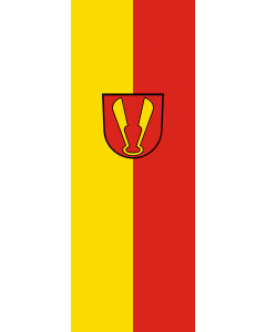 Flag: Ispringen |  portrait flag | 6m² | 64sqft | 400x150cm | 13x5ft 