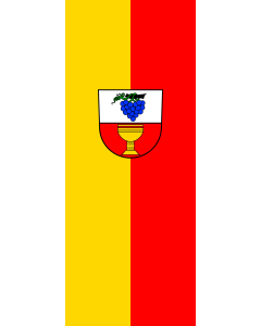 Flag: Ballrechten-Dottingen | portrait flag | 3.5m² | 38sqft | 300x120cm | 10x4ft