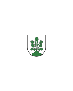 Flag: Haslach im Kinzigtal |  landscape flag | 1.35m² | 14.5sqft | 90x150cm | 3x5ft 