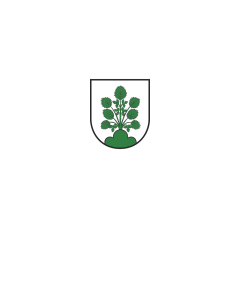 Flag: Haslach im Kinzigtal | portrait flag | 3.5m² | 38sqft | 300x120cm | 10x4ft