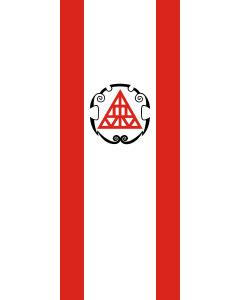 Flag: Hausach | portrait flag | 3.5m² | 38sqft | 300x120cm | 10x4ft