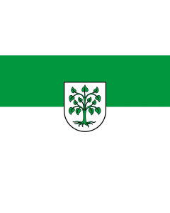 Flag: Schutterwald |  landscape flag | 1.35m² | 14.5sqft | 90x150cm | 3x5ft 