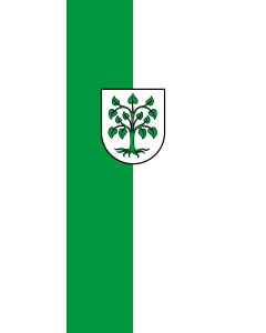 Flag: Schutterwald | portrait flag | 3.5m² | 38sqft | 300x120cm | 10x4ft