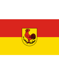 Flag: Dornhan |  landscape flag | 1.35m² | 14.5sqft | 90x150cm | 3x5ft 