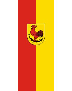 Flag: Dornhan |  portrait flag | 3.5m² | 38sqft | 300x120cm | 10x4ft 