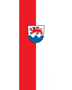 Flag: Wellendingen |  portrait flag | 6m² | 64sqft | 400x150cm | 13x5ft 