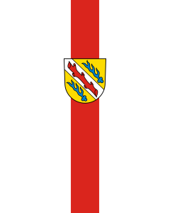 Flag: Stockach |  portrait flag | 3.5m² | 38sqft | 300x120cm | 10x4ft 