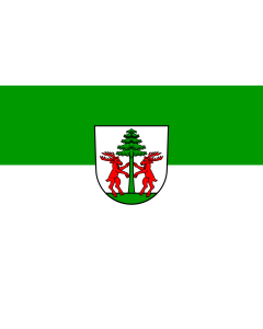 Flag: Herrischried |  landscape flag | 1.35m² | 14.5sqft | 90x150cm | 3x5ft 