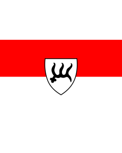 Flag: Münsingen |  landscape flag | 1.35m² | 14.5sqft | 90x150cm | 3x5ft 