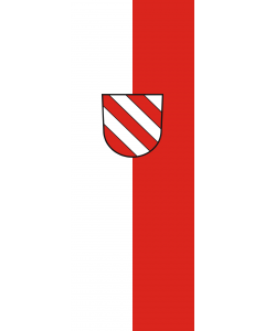 Flag: Ehingen (Donau) |  portrait flag | 6m² | 64sqft | 400x150cm | 13x5ft 