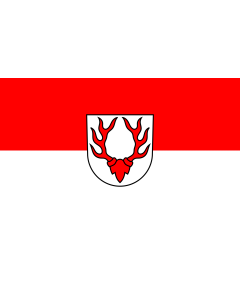 Flag: Oberdischingen |  landscape flag | 1.35m² | 14.5sqft | 90x150cm | 3x5ft 