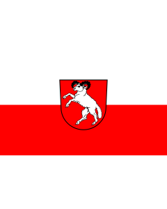 Flag: Rammingen |  landscape flag | 1.35m² | 14.5sqft | 90x150cm | 3x5ft 