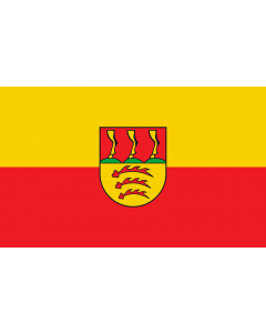 Flag: Langenenslingen |  landscape flag | 1.35m² | 14.5sqft | 90x150cm | 3x5ft 