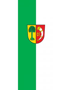 Flag: Friedrichshafen |  portrait flag | 3.5m² | 38sqft | 300x120cm | 10x4ft 