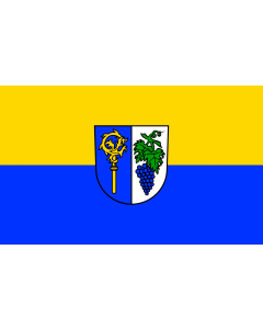 Flag: Hagnau am Bodensee |  landscape flag | 1.35m² | 14.5sqft | 90x150cm | 3x5ft 