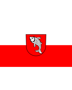 Flag: Riedhausen |  landscape flag | 1.35m² | 14.5sqft | 90x150cm | 3x5ft 