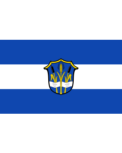 Flag: Reischach | landscape flag | 1.35m² | 14.5sqft | 90x150cm | 3x5ft