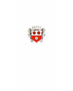 Flag: Moosburg a.d.Isar, St |  portrait flag | 3.5m² | 38sqft | 300x120cm | 10x4ft 