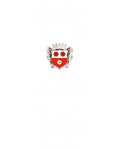 Vertical Hanging Swivel Crossbar Banner Flag: Moosburg a.d.Isar, St |  portrait flag | 6m² | 64sqft | 400x150cm | 13x5ft 