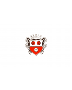 Flagge: Large Moosburg a.d.Isar, St  |  Querformat Fahne | 1.35m² | 90x150cm 