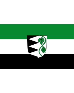 Tisch-Fahne / Tisch-Flagge: Rohrbach 15x25cm