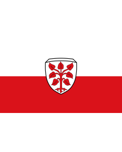 Flagge: Large Rottenbuch  |  Querformat Fahne | 1.35m² | 90x150cm 
