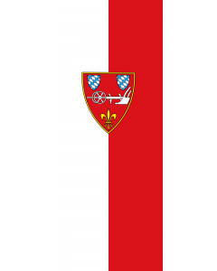 Bandera: Bandera vertical con potencia Straubing |  bandera vertical | 3.5m² | 300x120cm 