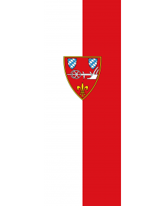 Vertical Hanging Swivel Crossbar Banner Flag: Straubing |  portrait flag | 6m² | 64sqft | 400x150cm | 13x5ft 