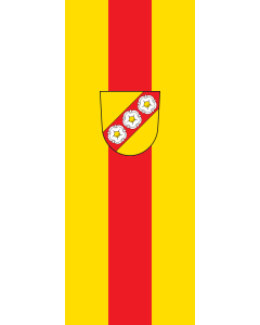 Flag: Riedenburg, St |  portrait flag | 3.5m² | 38sqft | 300x120cm | 10x4ft 