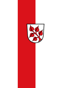 Flag: Frauenau | portrait flag | 3.5m² | 38sqft | 300x120cm | 10x4ft