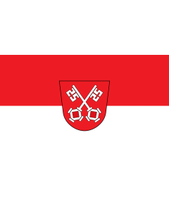 Flagge: Large Regensburg  |  Querformat Fahne | 1.35m² | 90x150cm 