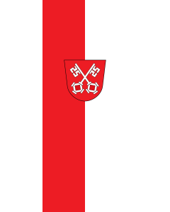 Flagge:  Regensburg  |  Hochformat Fahne | 3.5m² | 300x120cm 