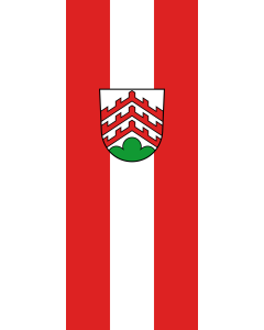Flag: Zell |  portrait flag | 3.5m² | 38sqft | 300x120cm | 10x4ft 