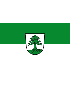 Flagge: Large Oberviechtach, St  |  Querformat Fahne | 1.35m² | 90x150cm 