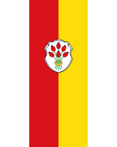 Flagge:  Markt Einersheim, M  |  Hochformat Fahne | 3.5m² | 300x120cm 