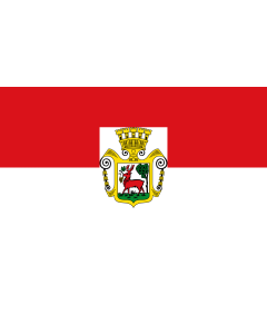 Flagge: Large Obernburg a.Main, St  |  Querformat Fahne | 1.35m² | 90x150cm 