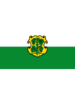 Flagge: Large Dingolshausen  |  Querformat Fahne | 1.35m² | 90x150cm 