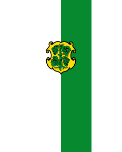 Flagge:  Dingolshausen  |  Hochformat Fahne | 3.5m² | 300x120cm 