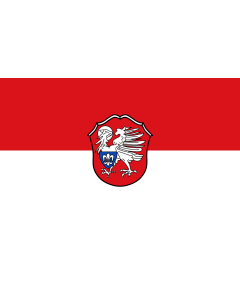 Flagge: Large Eisingen  |  Querformat Fahne | 1.35m² | 90x150cm 