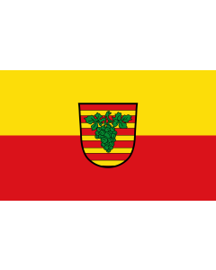 Flagge: Large Erlabrunn  |  Querformat Fahne | 1.35m² | 90x150cm 