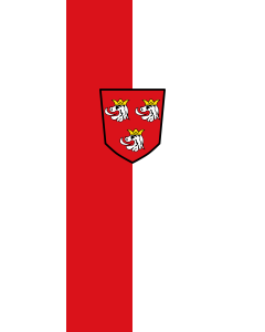 Flagge:  Estenfeld  |  Hochformat Fahne | 3.5m² | 300x120cm 
