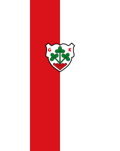 Flagge:  Gaukönigshofen  |  Hochformat Fahne | 3.5m² | 300x120cm 