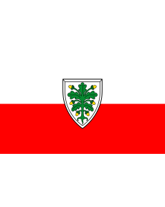 Flag: Aichach, St |  landscape flag | 1.35m² | 14.5sqft | 90x150cm | 3x5ft 