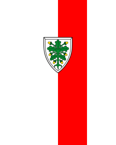 Flag: Aichach, St | portrait flag | 3.5m² | 38sqft | 300x120cm | 10x4ft