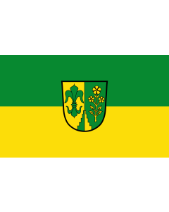 Flag: Binswangen |  landscape flag | 1.35m² | 14.5sqft | 90x150cm | 3x5ft 