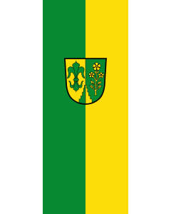 Flag: Binswangen |  portrait flag | 3.5m² | 38sqft | 300x120cm | 10x4ft 