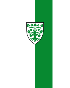 Flag: Lindau (Bodensee), GKSt |  portrait flag | 3.5m² | 38sqft | 300x120cm | 10x4ft 