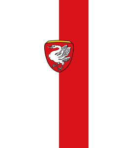 Flag: Schwangau |  portrait flag | 3.5m² | 38sqft | 300x120cm | 10x4ft 