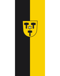Flag: Babenhausen, M |  portrait flag | 3.5m² | 38sqft | 300x120cm | 10x4ft 